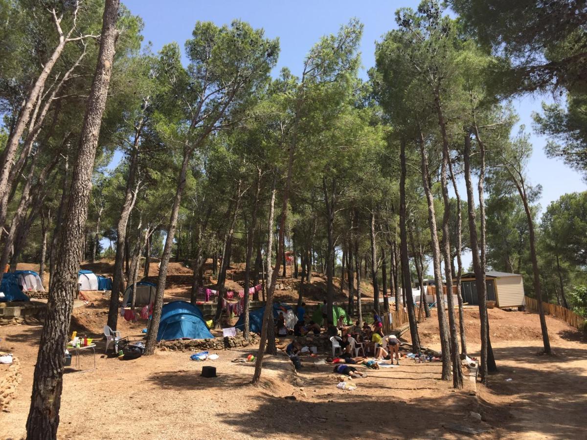 Camping Le Bois De Pins Салс-льо-Шато Екстериор снимка