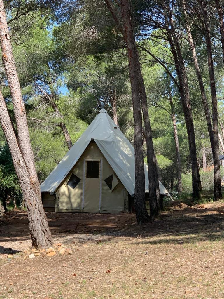 Camping Le Bois De Pins Салс-льо-Шато Екстериор снимка